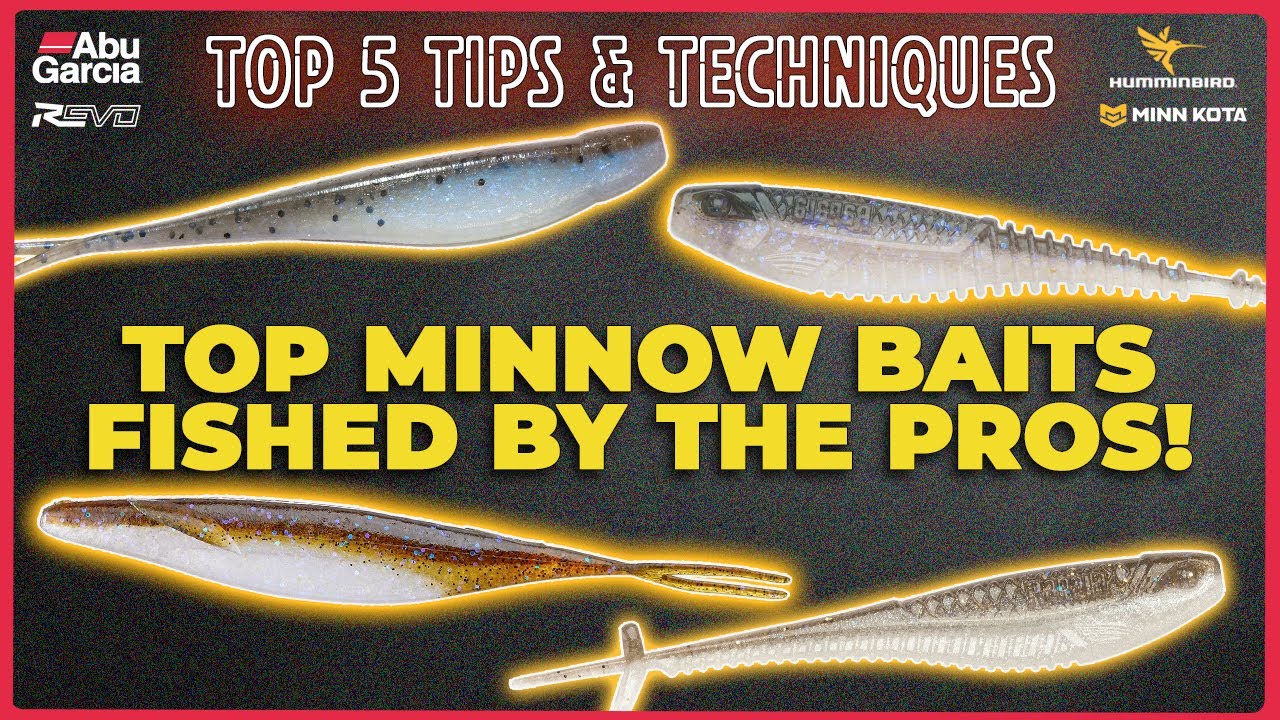These minnows are blowing up tournaments! Abu Top 5 Tips, Trends in Bass Fishing!