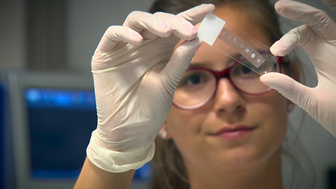(ENG) BIOCEV - Laboratory of Reproductive Biology - Institute of Biotechnology CAS