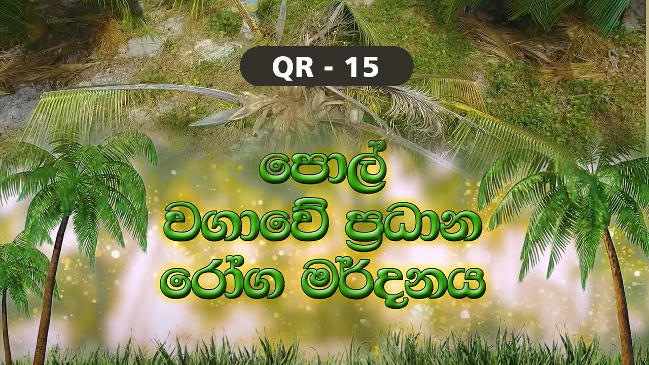 QR 15 - පොල් වගාවේ ප්‍රධාන රෝග මර්දනය
