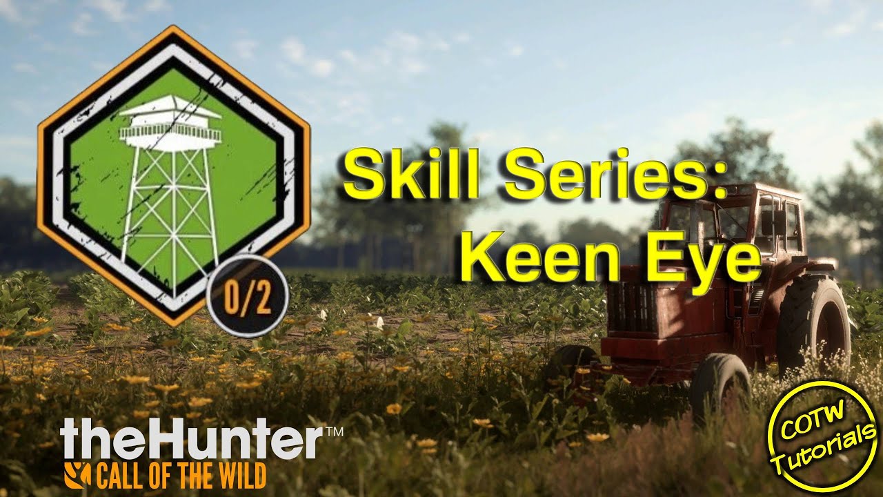 Keen Eye Skill