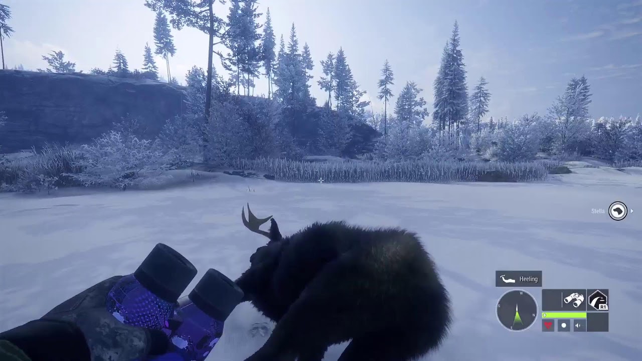 Call of the wild grinding pheasant episode 4