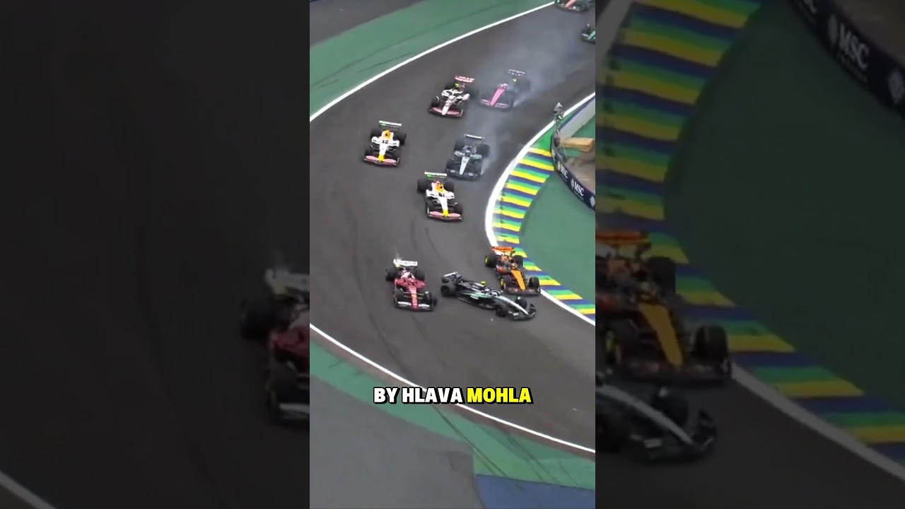Co je to HANS? F1.
