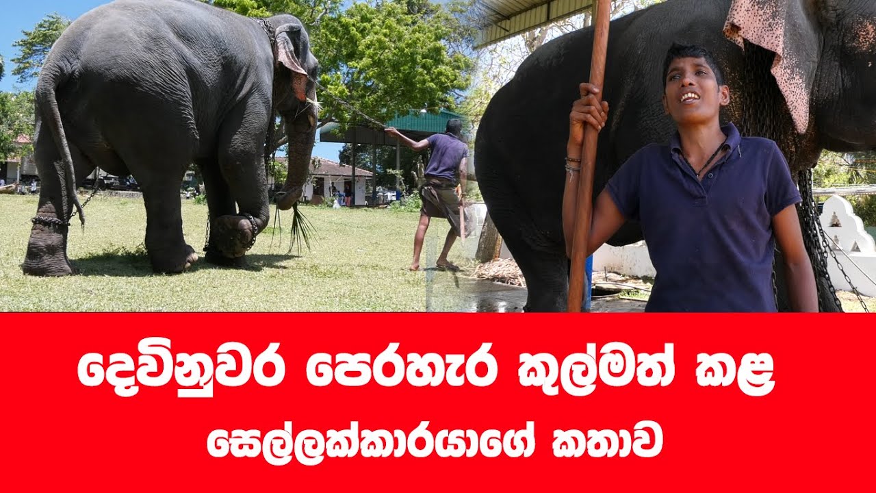 දෙවිනුවර පෙරහැරේ සෙල්ලක්කාය මෙන්න