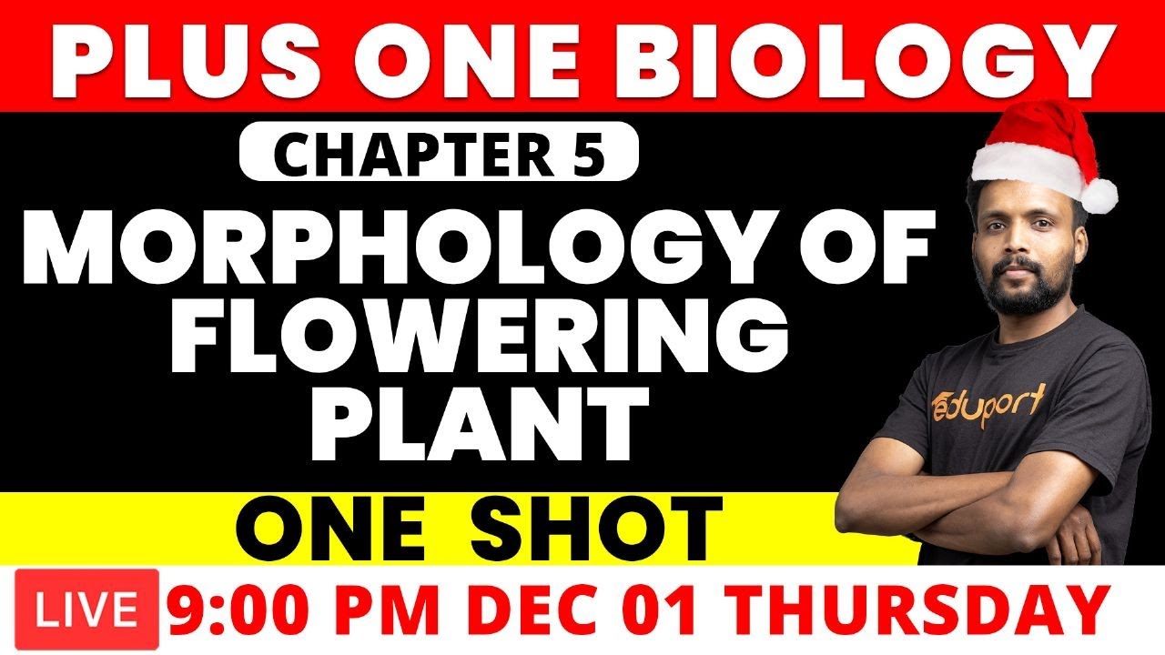 Plus One Christmas Exam Biology Chapter 5 Morphology of Flowering Plant