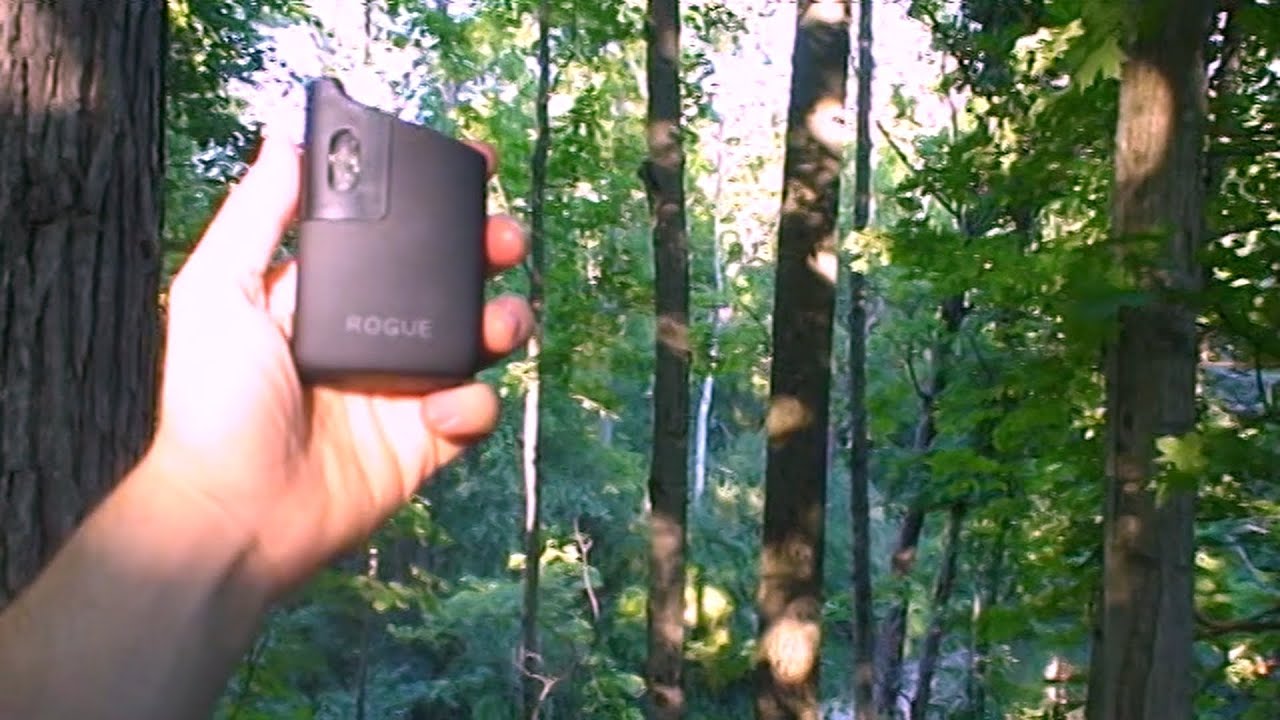 vaporizer vs the woods