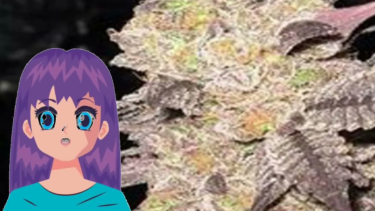 Purple Diesel &ndash; Cali Connection