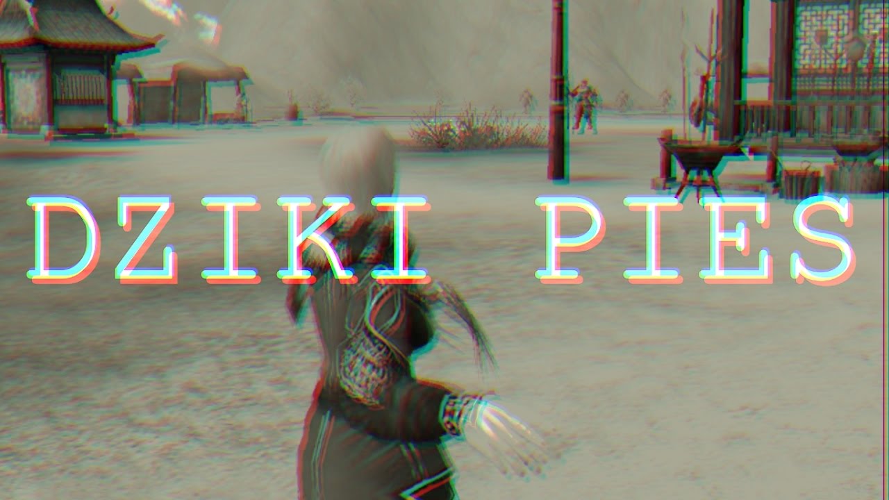 DZIKI PIES - WYMYŚLIŁEM WOJA (prod. Momsen) OFFICIAL VIDEO