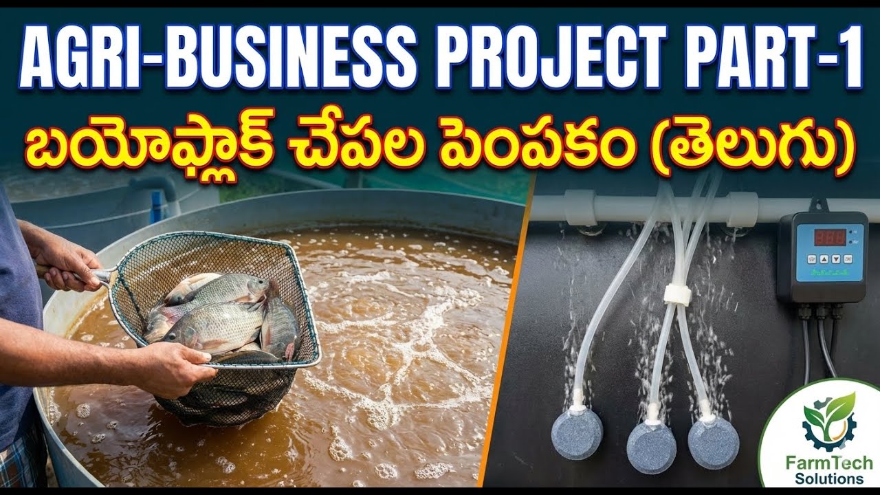 A-to-Z Guide to Biofloc Fish Farming: Small Space, High Profit Business | FarmTech Solutions
