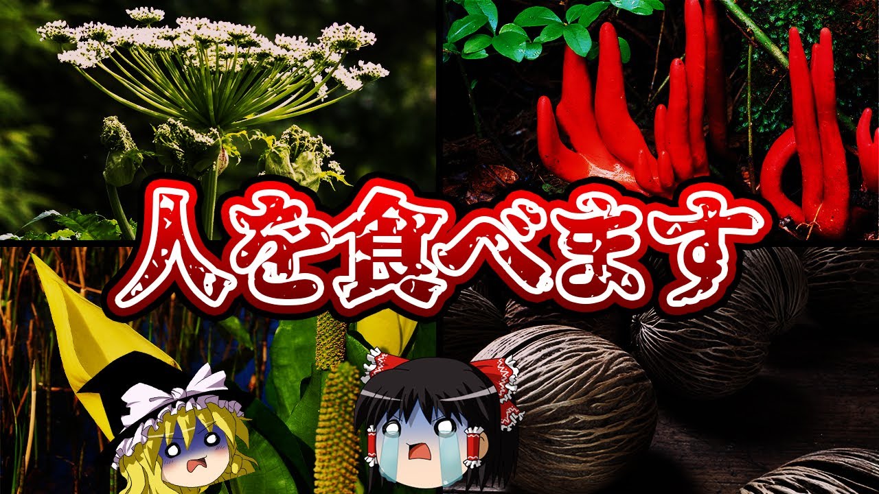 【ゆっくり解説】ガチでヤバすぎる殺人植物７選！恐ろしすぎる超危険な植物