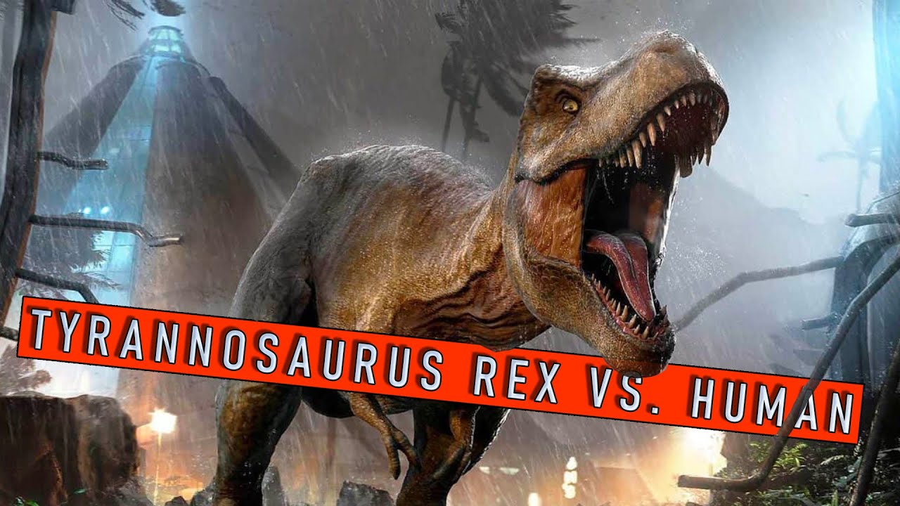 Tyrannosaurus Rex vs. Human