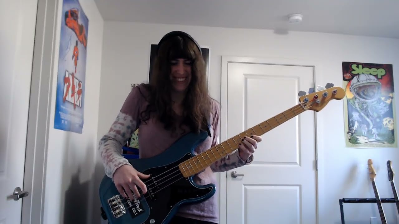 sleep - holy mountain (bass cover)