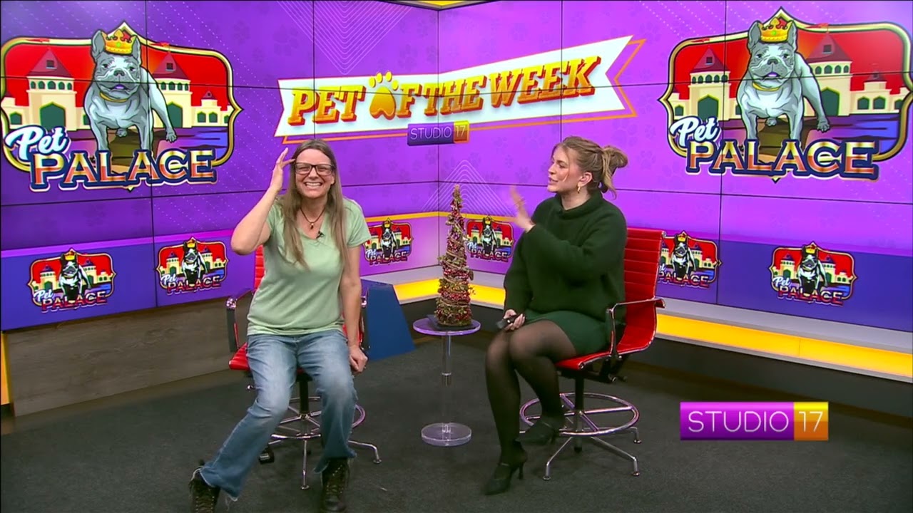 Studio 17 Pet of the Week Syber!