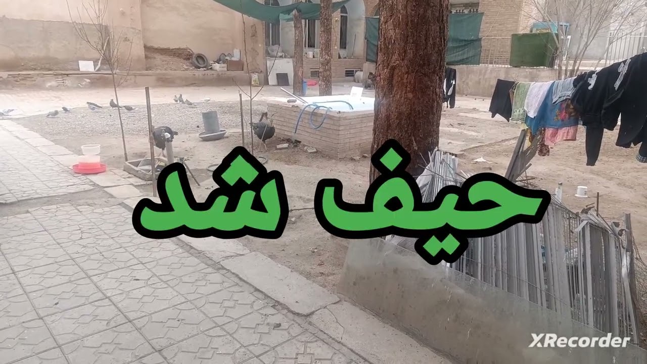 غریبی که در رفت 