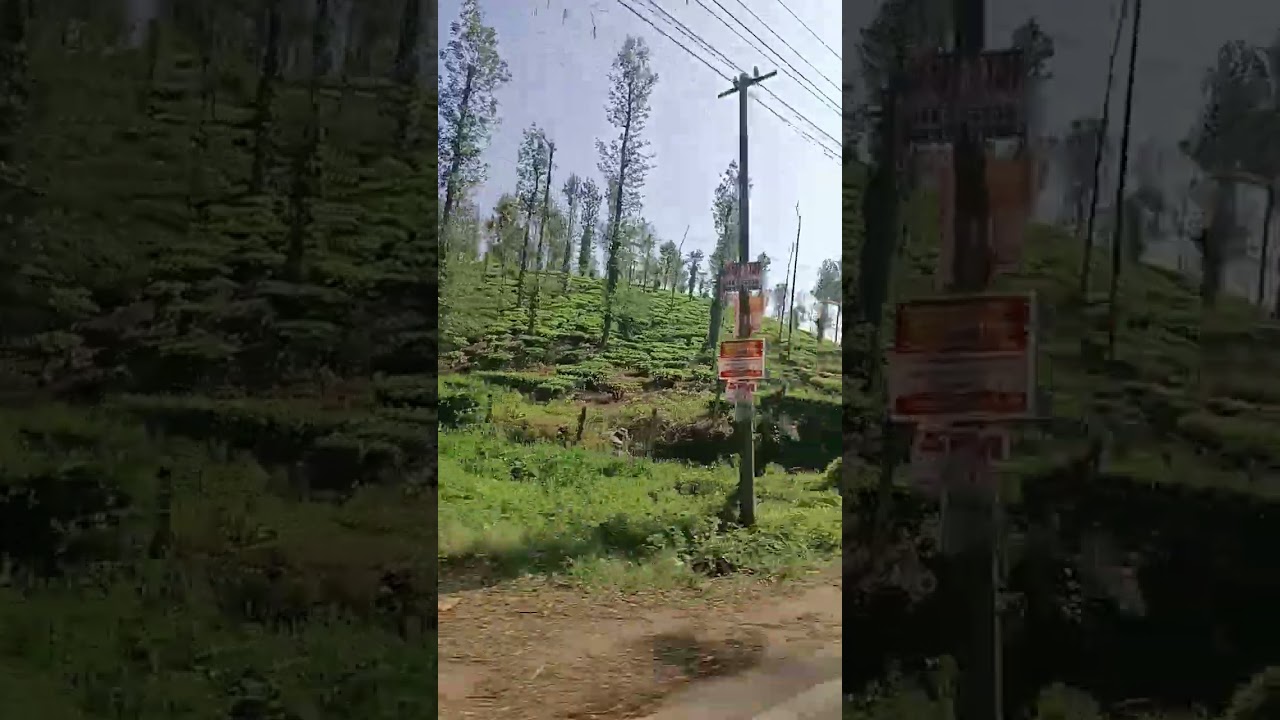wayanad to ooty💜🩷️