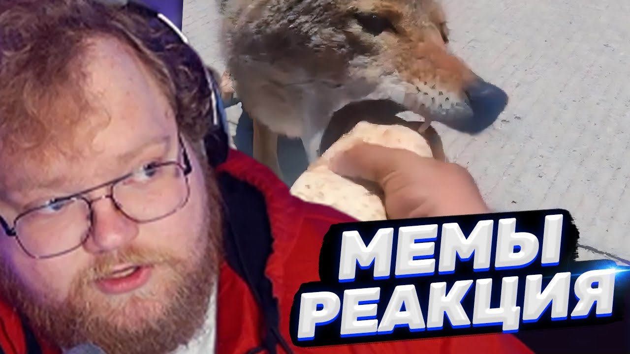 ТОХА T2x2 СМОТРИТ: ПОДБОРКА НЕОБЫЧНЫХ МЕМОВ | UNUSUAL MEMES COMPILATION V275