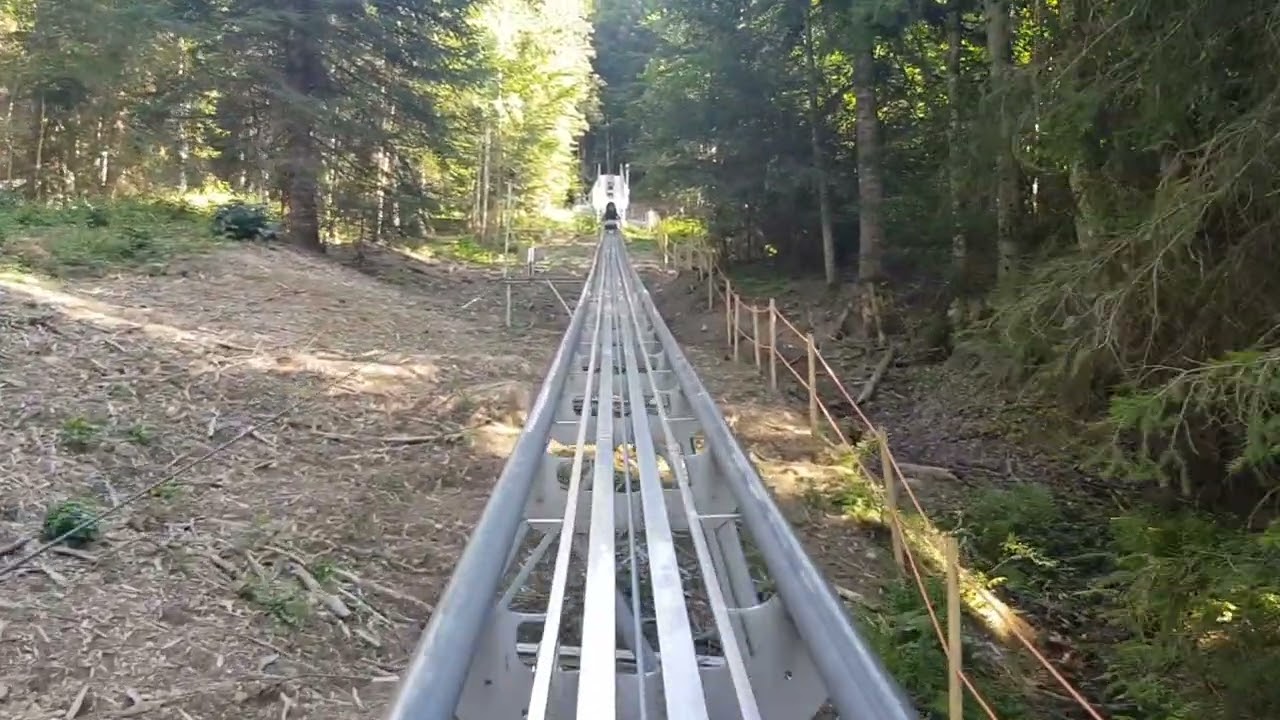 Les Gets Alpine Coaster - August 2023