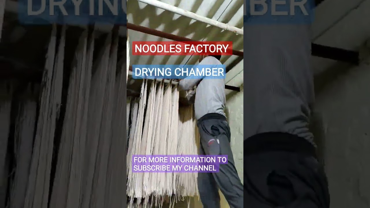 #shorts # NOODLES DRYING CHAMBER ll CHOWMEIN NOODLES FACTORY ll NEELAM FOODS