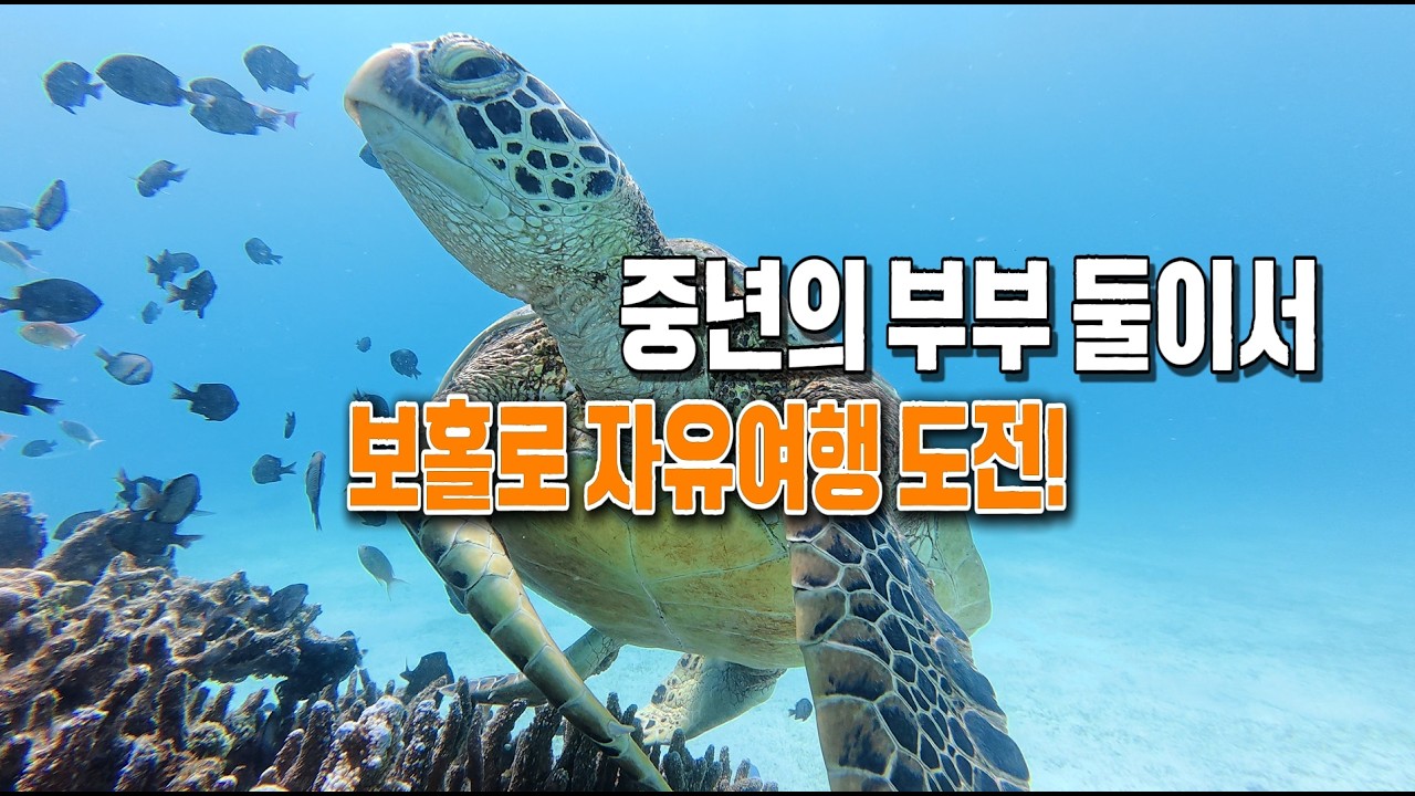 오렌지캠핑 신바람이박사입니다. 중년 부부 둘이서 보홀로 자유여행 갑니다. 중년들이 여 하고 싶은 것들 모두 하고 살자고요.  #보홀여행#보홀#호핑투어#프리다이빙#자유여행