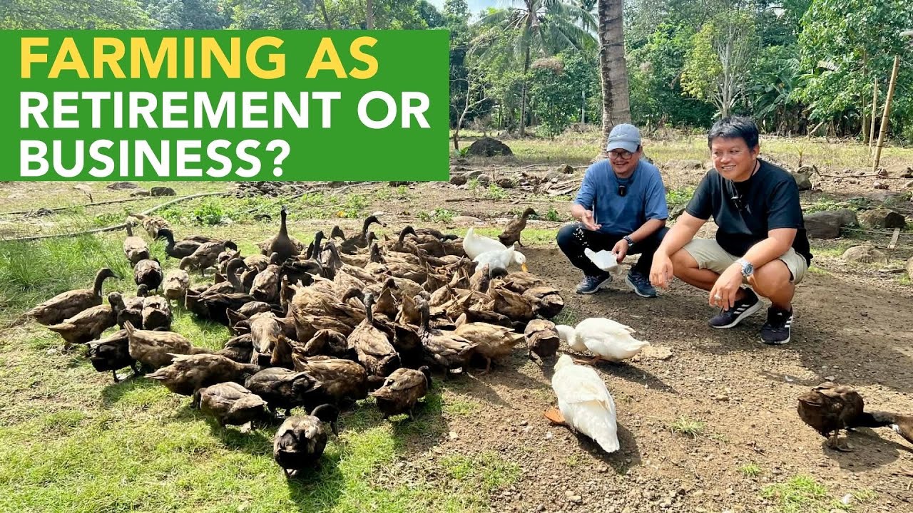 Bakit Kambing ang Pinaka Magandang Farming Venture nya Vs. Hito, Itik at Baboy