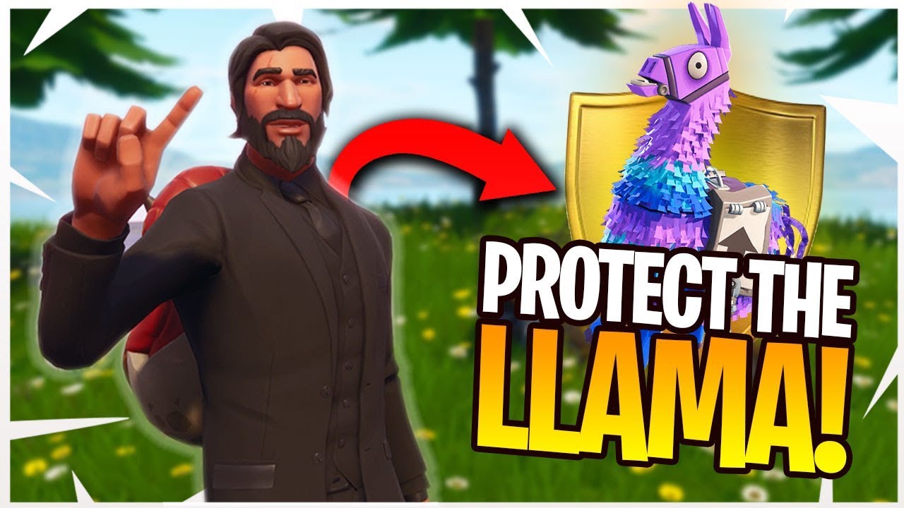 PROTECT THE LLAMA! - Fortnite CUSTOM GAME MODE! 2v2 Playgrounds Mode!