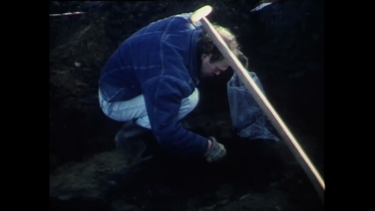 Hiddingh: Archeologie