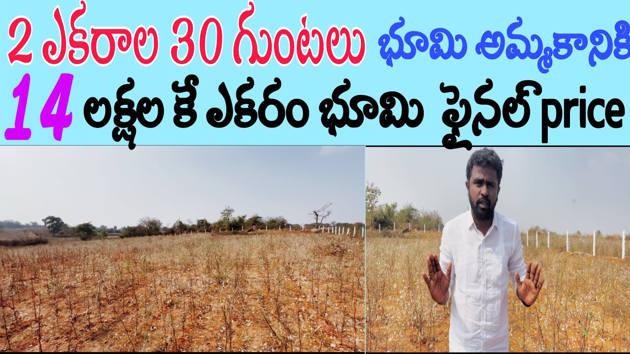14 లక్షల కే ఎకరం భూమి. 2 ఎకరాల 30 గుంటలు వ్యవసాయ భూమి అమ్మకానికి. Warangal Hwyకి 12 కిలోమటర్ల.