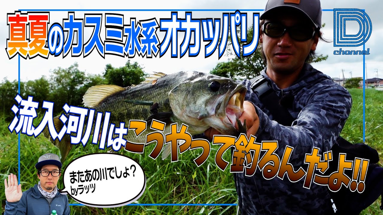 [青木大介]D Channel #011 流入河川で３連発!! カスミ水系オカッパリ!!