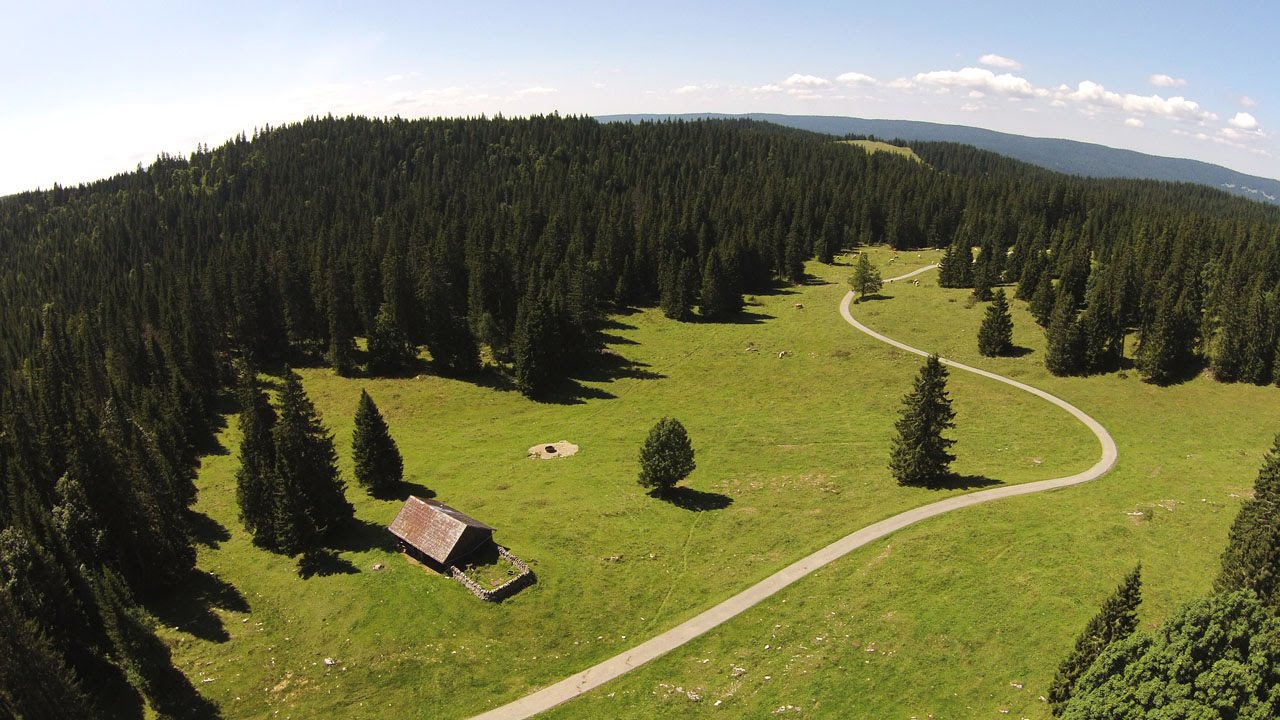 Jura Vaudois