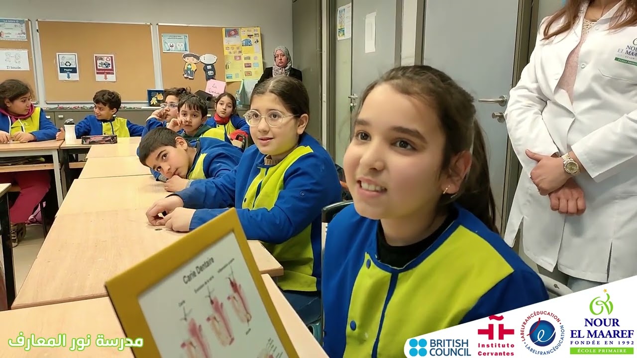 أنواع الأسنان  و وظائفها عند الانسان