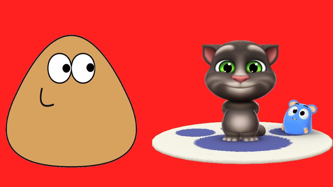 Pou vs El Gato Tom - Pou juega con Tom el gato.