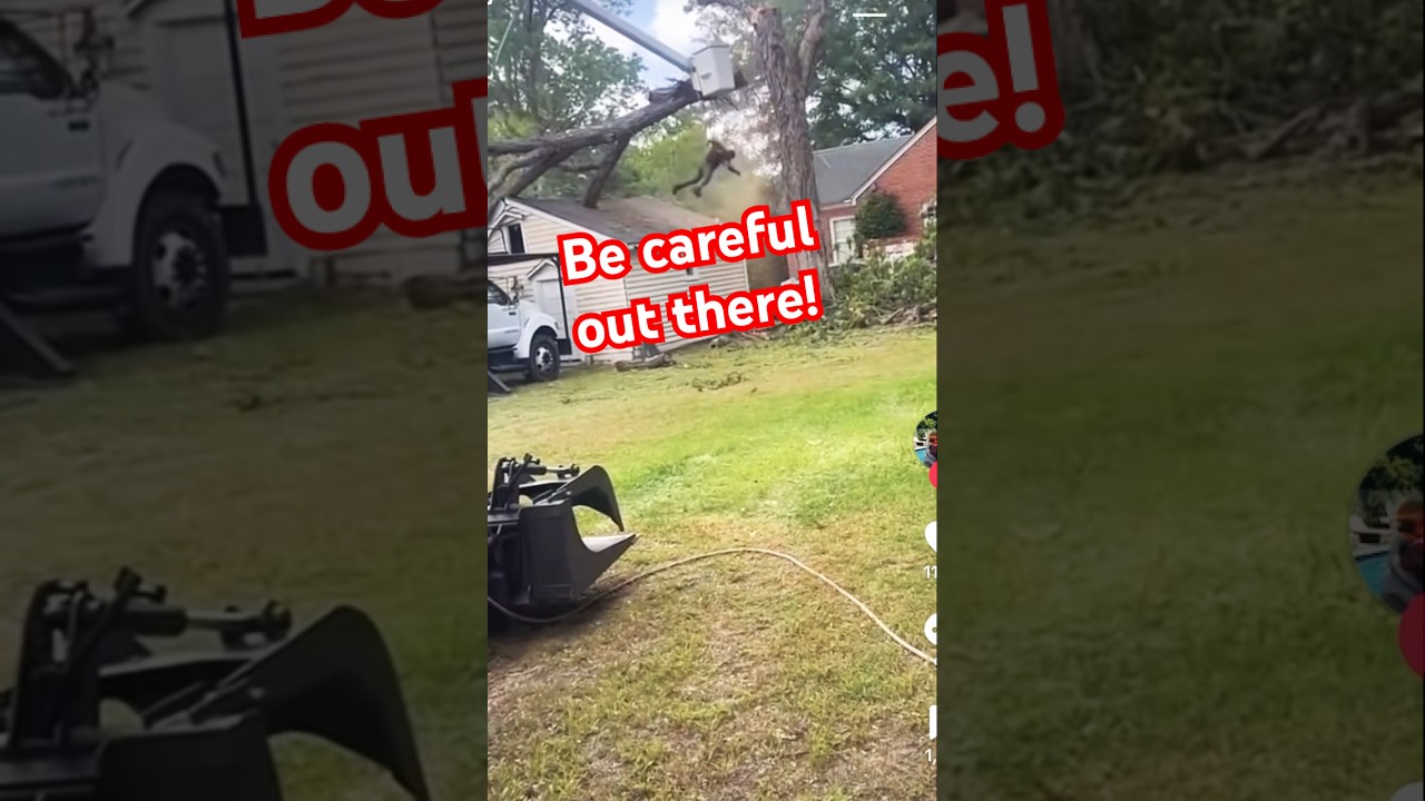 Tree Work is dangerous! Be careful out there.