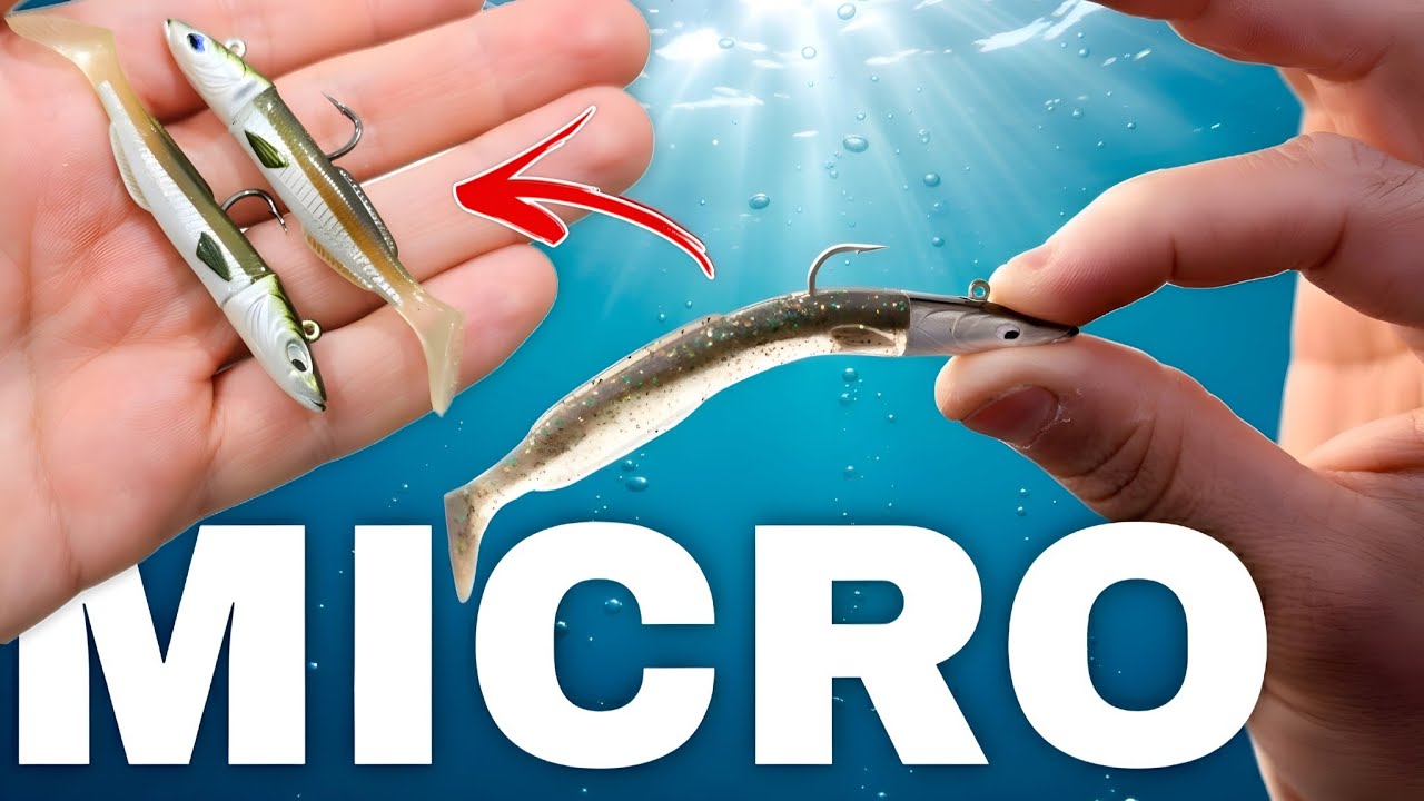 ¡10 señuelos que te harán pescar MÁS robalos y doradas!