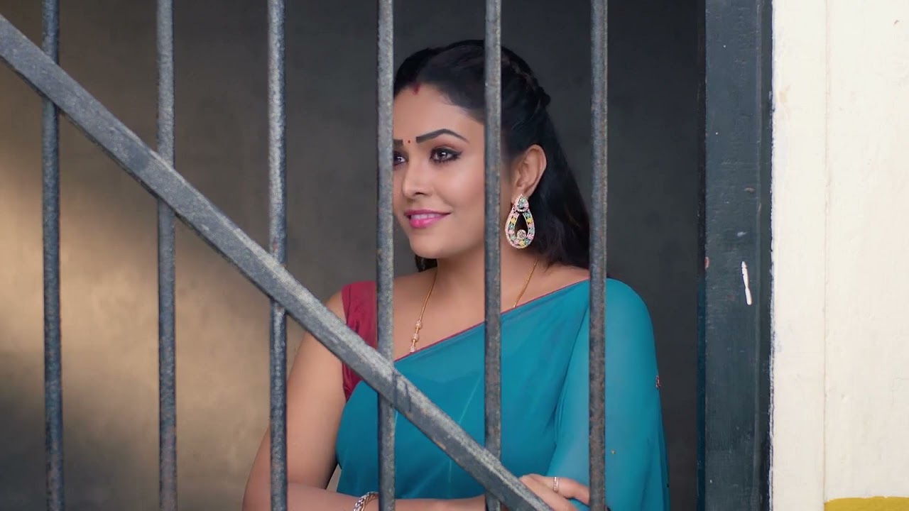 Karthigai Deepam - Full Ep - 629 - Karthikeyan, Deepa, Abirami - Zee Tamil
