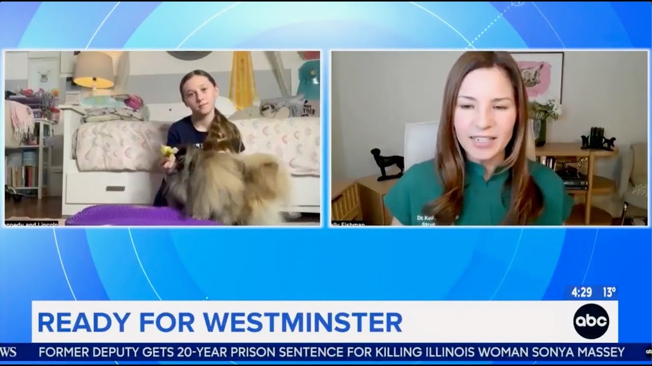 Good Morning America! Getting Ready for Westminster