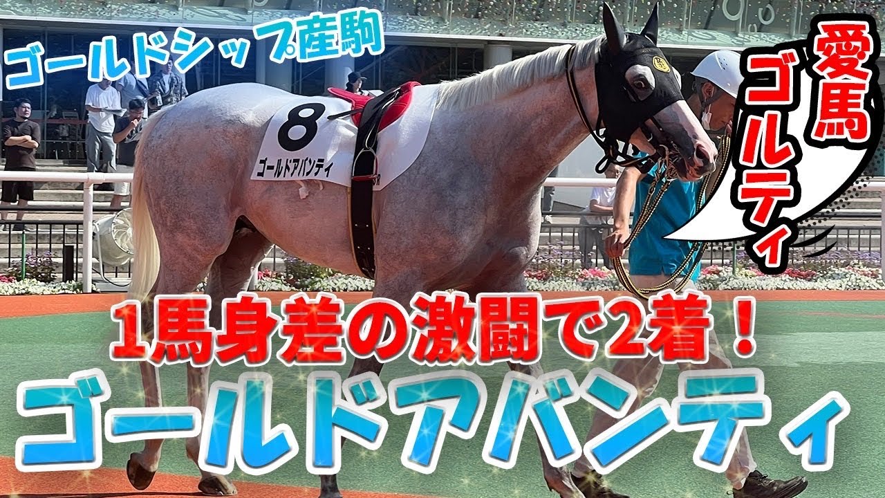 ゴールドシップ産駒ゴルティ君ついに2着！白熱のレース裏側までお見せします！