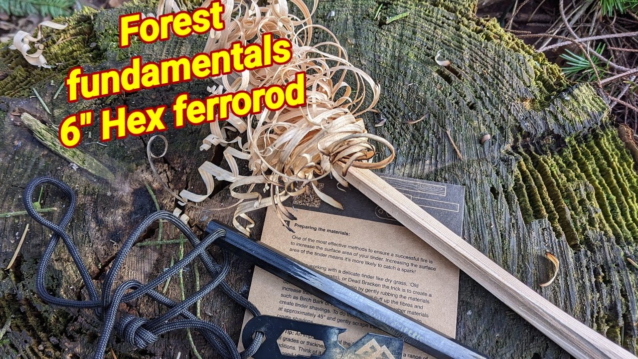 FOREST FUNDAMENTALS 6