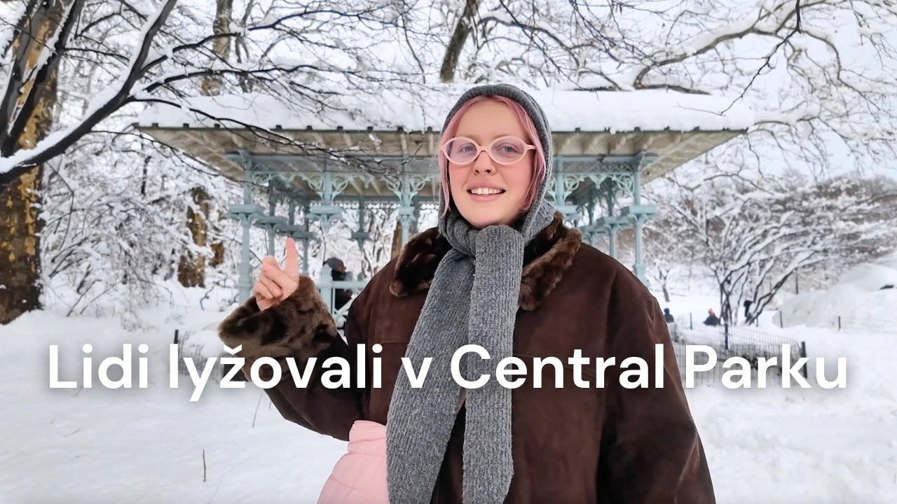 New York pod sněhem: Lidi lyžovali v Central Parku?! | NYC diaries