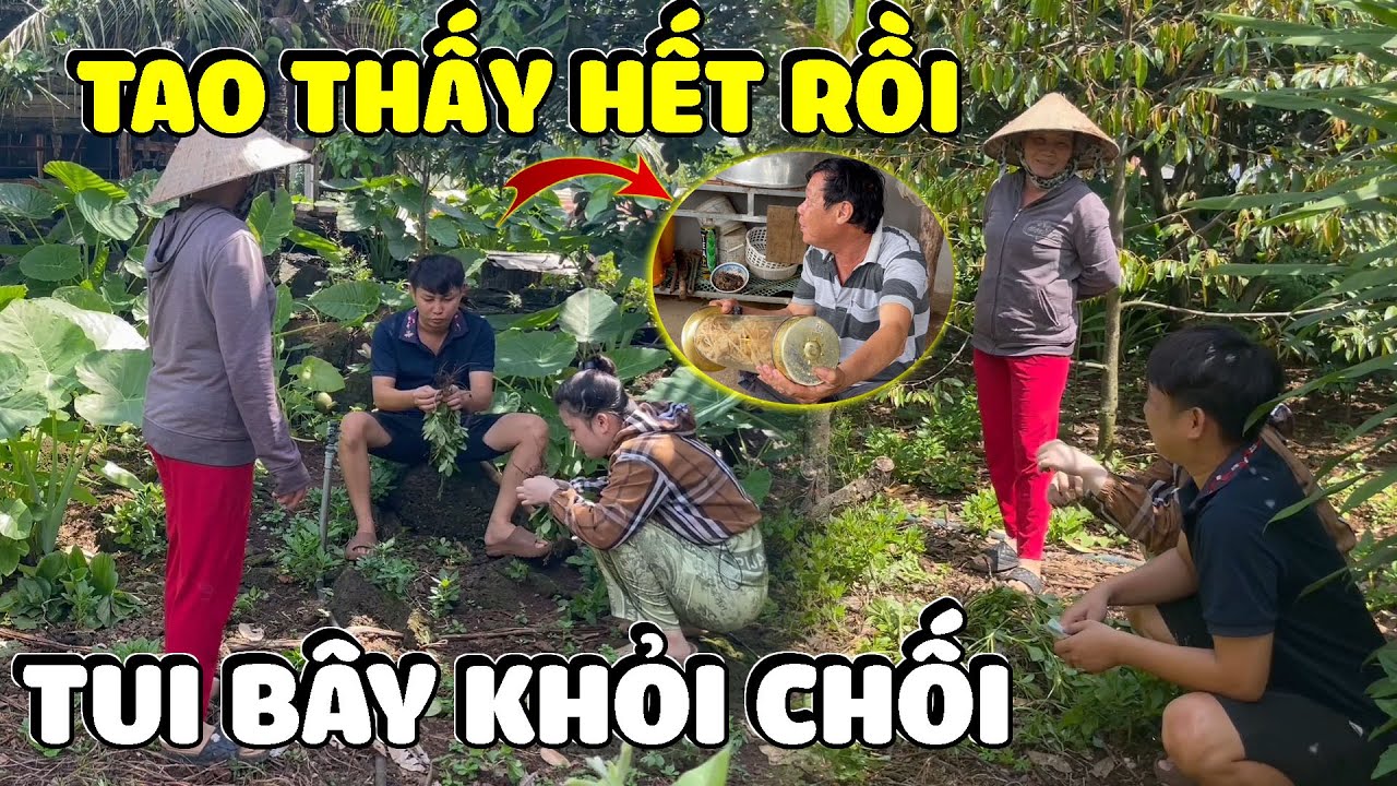 Tía Phi Hùng Dấu Dì Hương Có Quỹ Đen Nhưng Không Ngờ Lại Bị Thằng Ba Báo Ủ Mưu Từ Từ Đưa Vô Bẫy