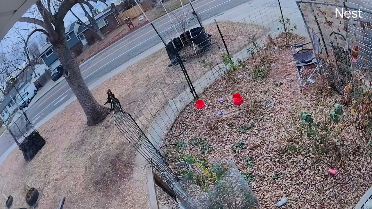 punk david shoulder checking 80 year old mother ,hiding behind her 3