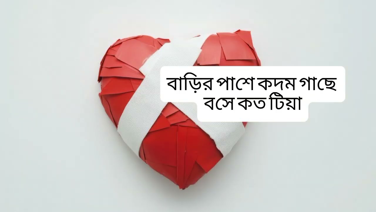 বছরের সেরা কষ্টের ম্যাশআপ 💔 | ৩টি হৃদয়ছোঁয়া গান bangli sad songs mix top 3