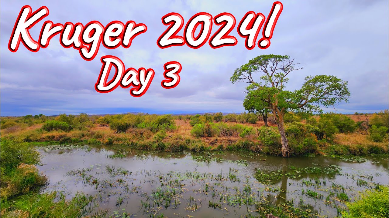 Day 3 – Kruger National Park! Ep 543