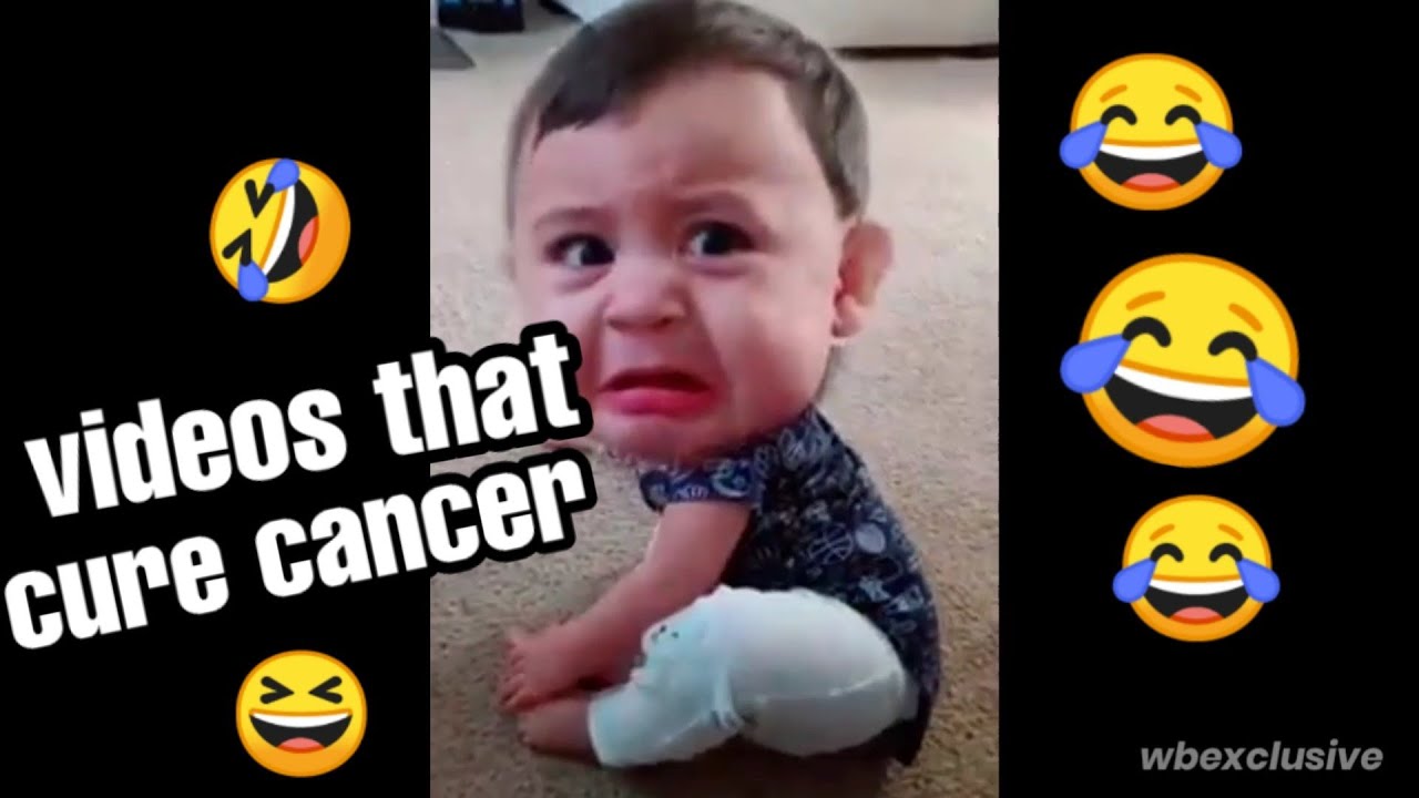 Try not to laugh 1 (you will not win)