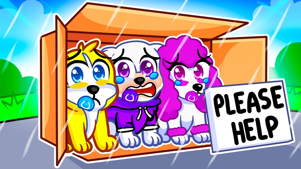 Our BABY DOGS Are HOMELESS&hellip;
