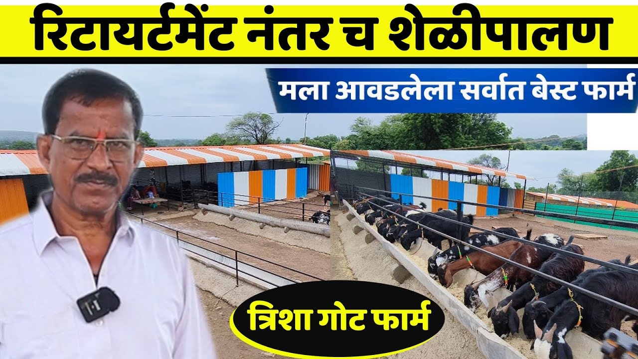 Trisha goat farm | मला आवडलेला सर्वात बेस्ट फार्म | जायभाये यांची संघर्ष कहानी #शेळीपालन #goat