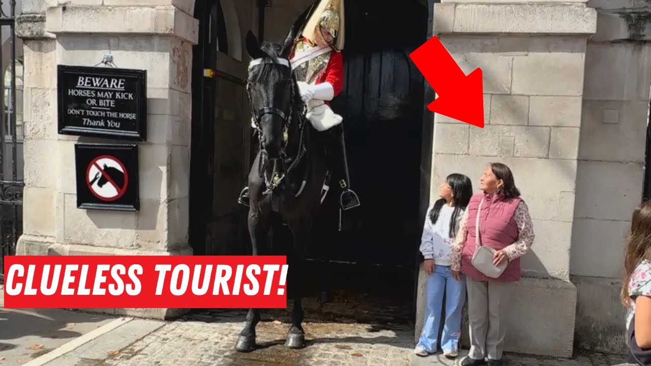 Guard SHOUTS ‘GET BACK!’ at Tourist Who Had No Idea Why