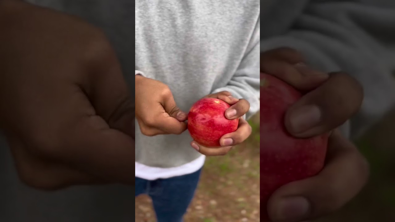 How to Make an Apple Pipe?