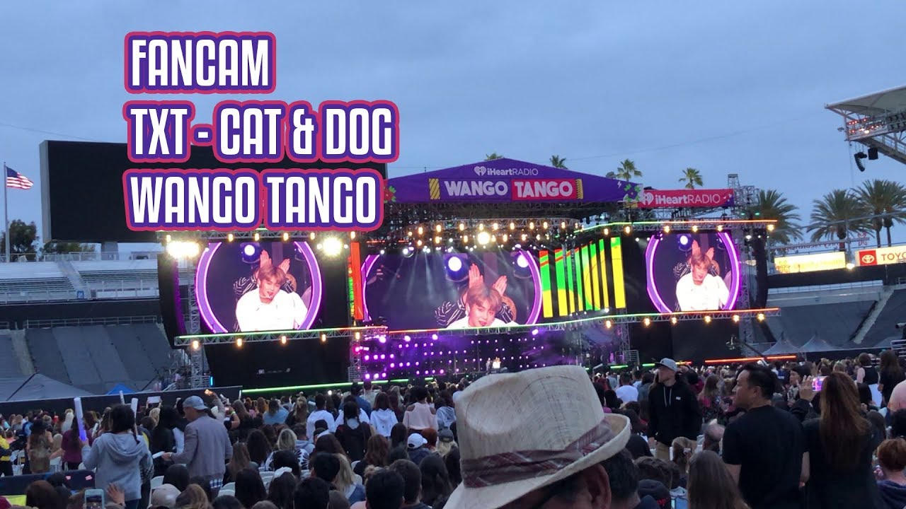 [190601 FANCAM] TXT - CAT and DOG at WANGO TANGO 2019