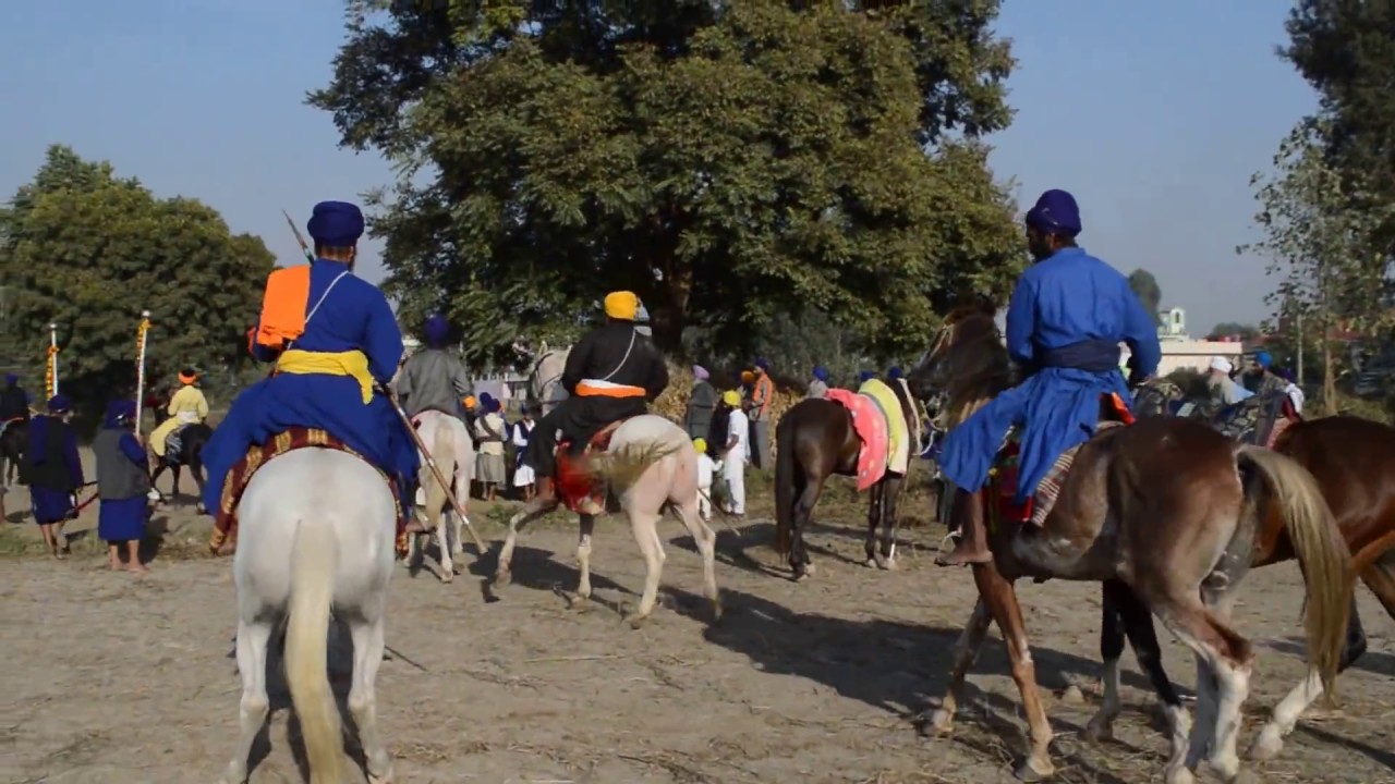 Holla Mohalla festival in  Gurudwara Paonta Sahib 3