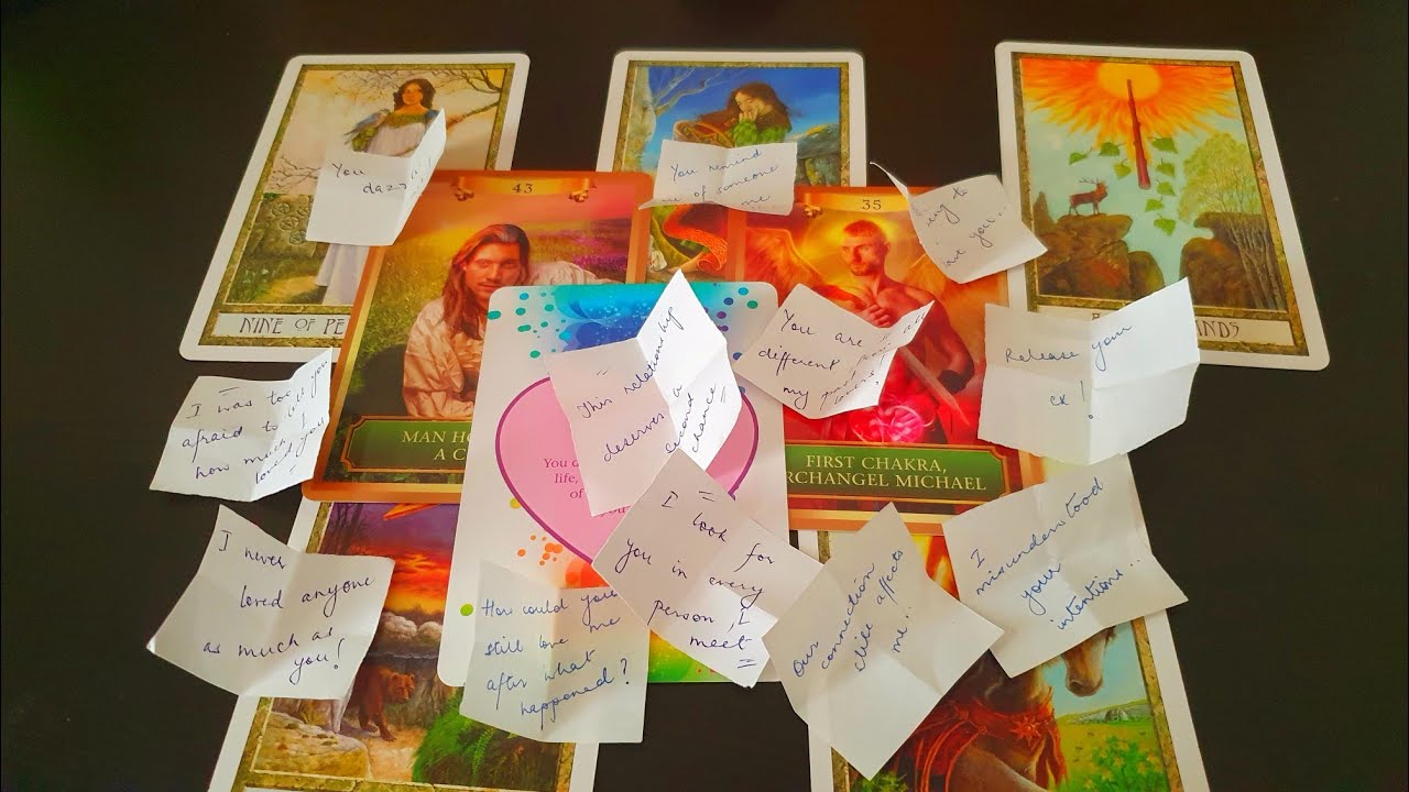 Current Feelings and Next action of your person ⚘️ Pick a Card Reading Hindi ⚘️ Timeless  ⚘️