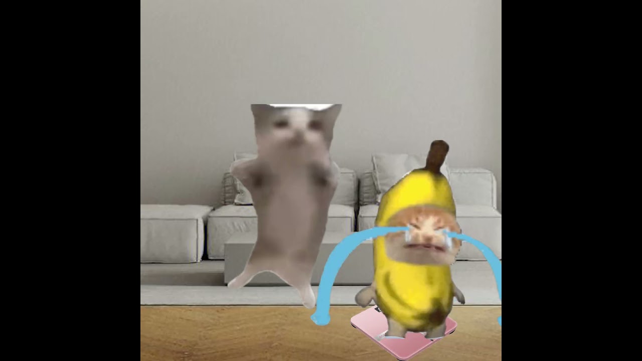BANANA CAT 🍌🐱 IS GETTING FAT AND LOSING WEIGHT #catmemes #cat #bananacat #shorts #fyp